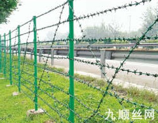 刺鐵絲護欄4.jpg